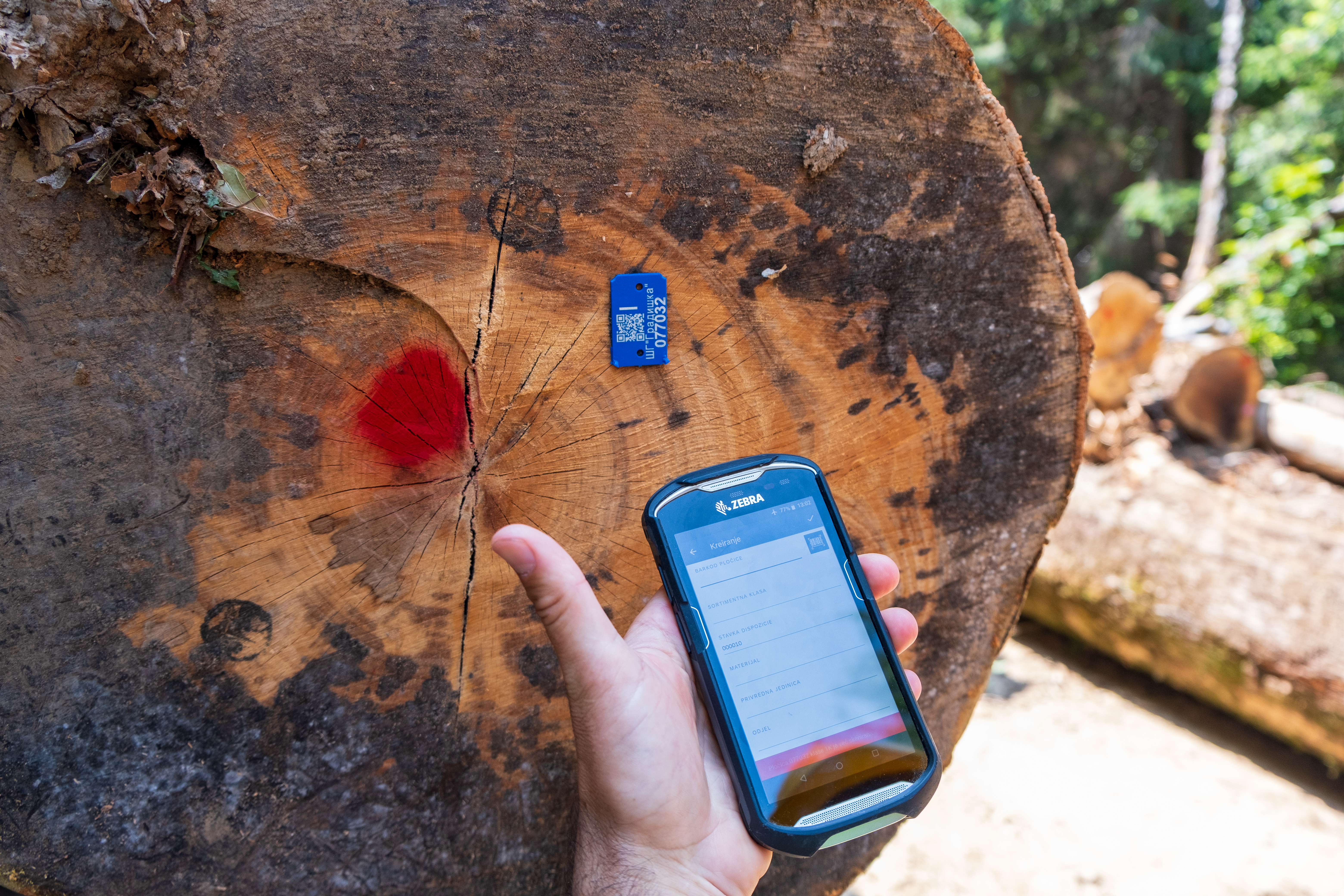 Forest engineer controlling the information of each wood assortment prior to the loading on the truck.