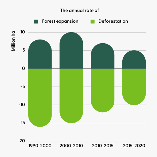 Annual rate