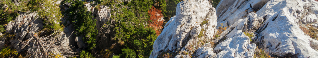 protective forests croatia