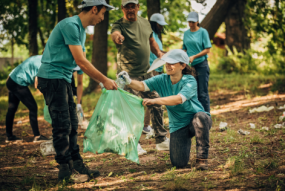 Forest activity cleaning