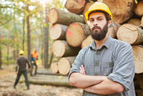 Forest worker helmet