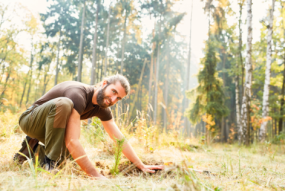 Forest worker