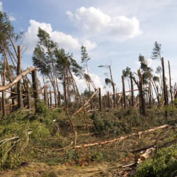 Extreme event wind