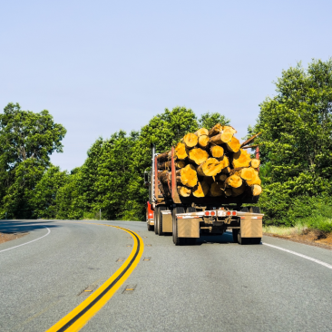 Logs transport