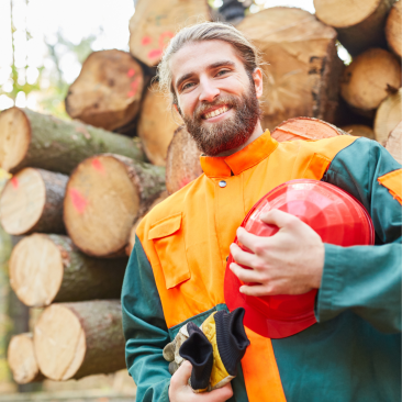 Worker logs forest