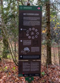 Educational trail Mašun Slovenia