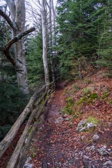 Trail Mašun Slovenia