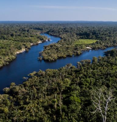 river brazil