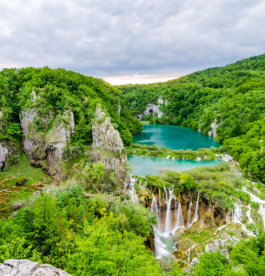 Forest in Croatia