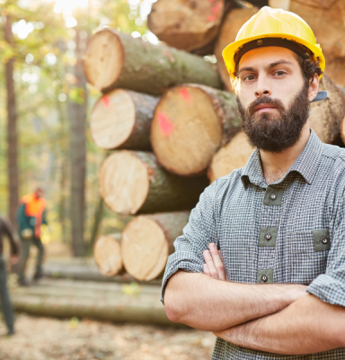 Forest worker helmet