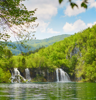 Forest Ecosystem Plitvice lakes
