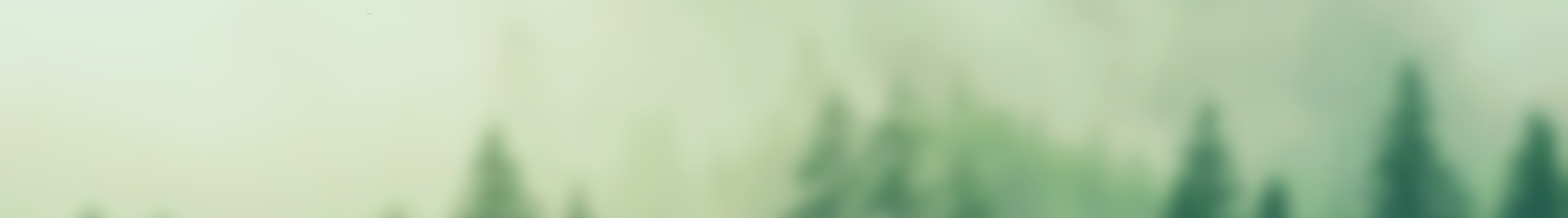 Forest blurred
