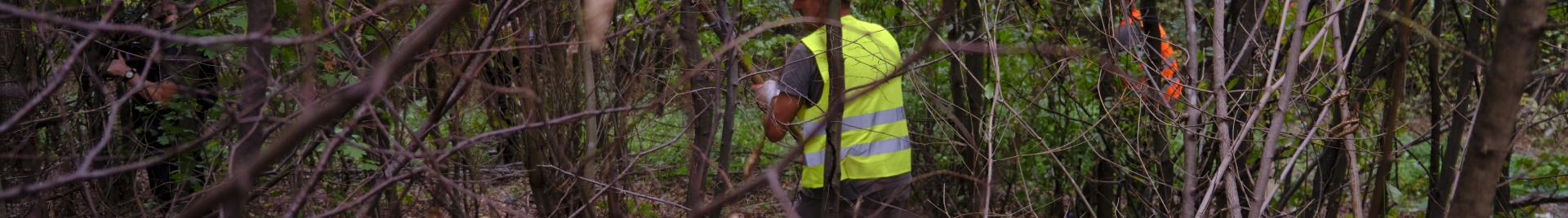 forest dark yellow vest